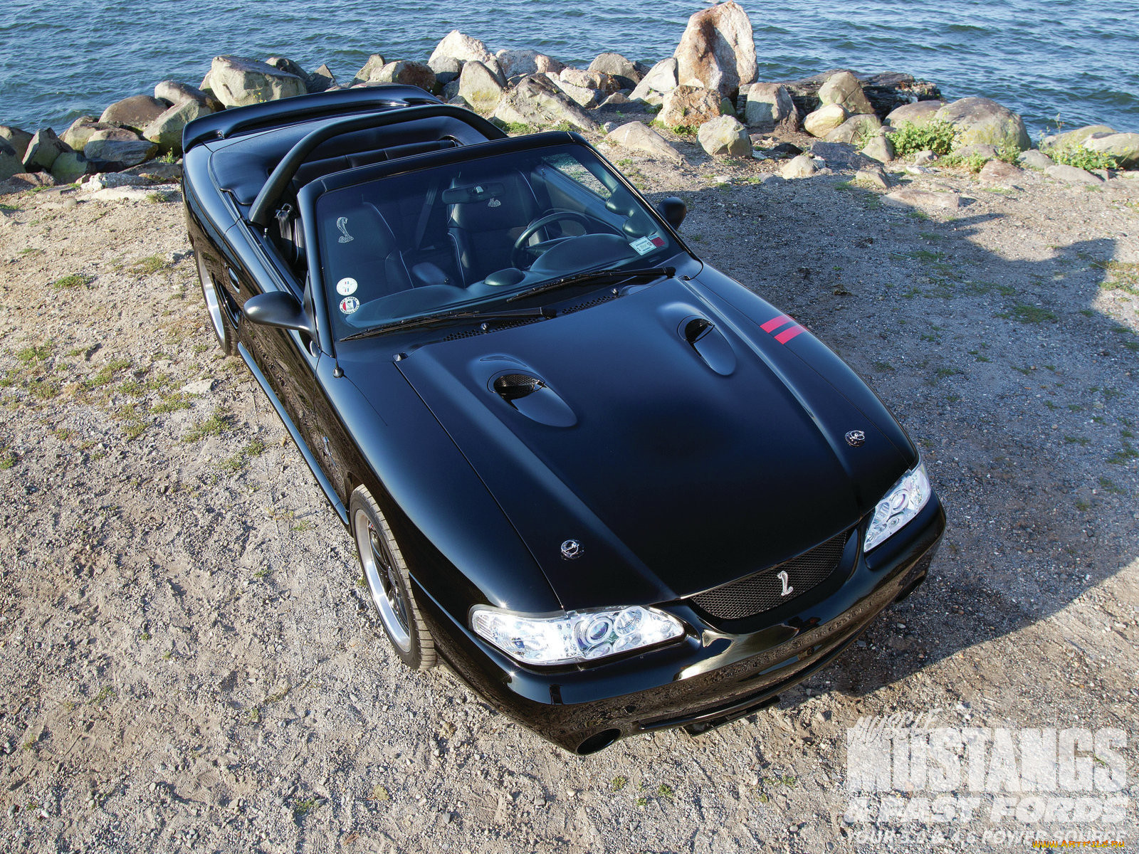 , mustang, cobra